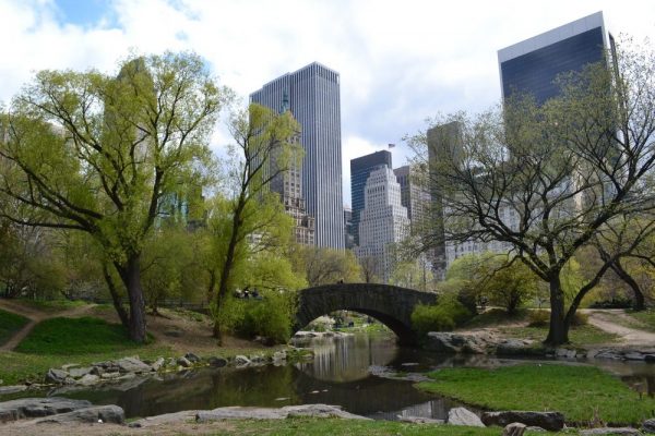 Central Park Nueva York