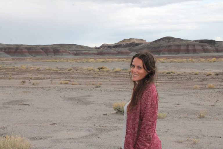 Petrified Forest