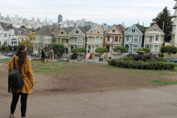 Painted Ladies