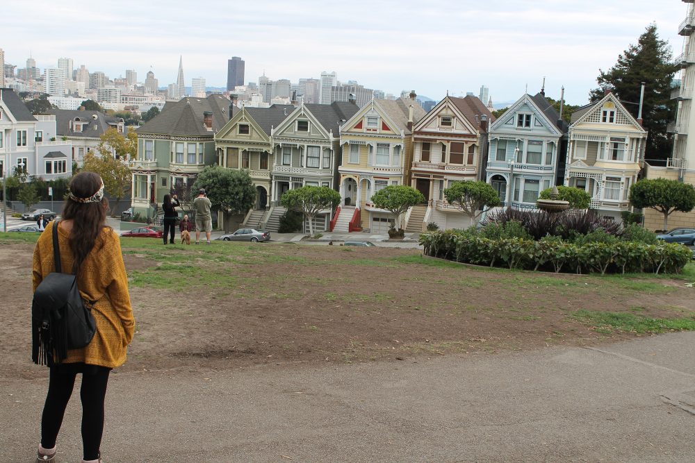 Painted Ladies