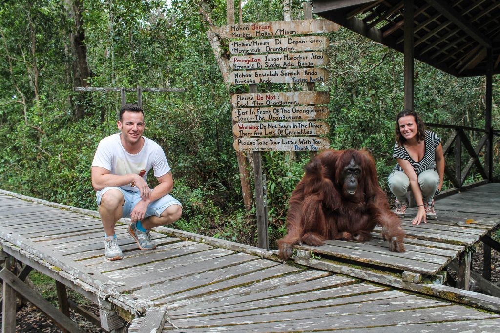 orangutanes-en-borneo-36