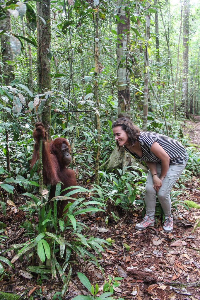 orangutanes-en-borneo-41