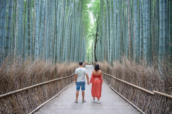 Kioto Que ver y hacer en Japón