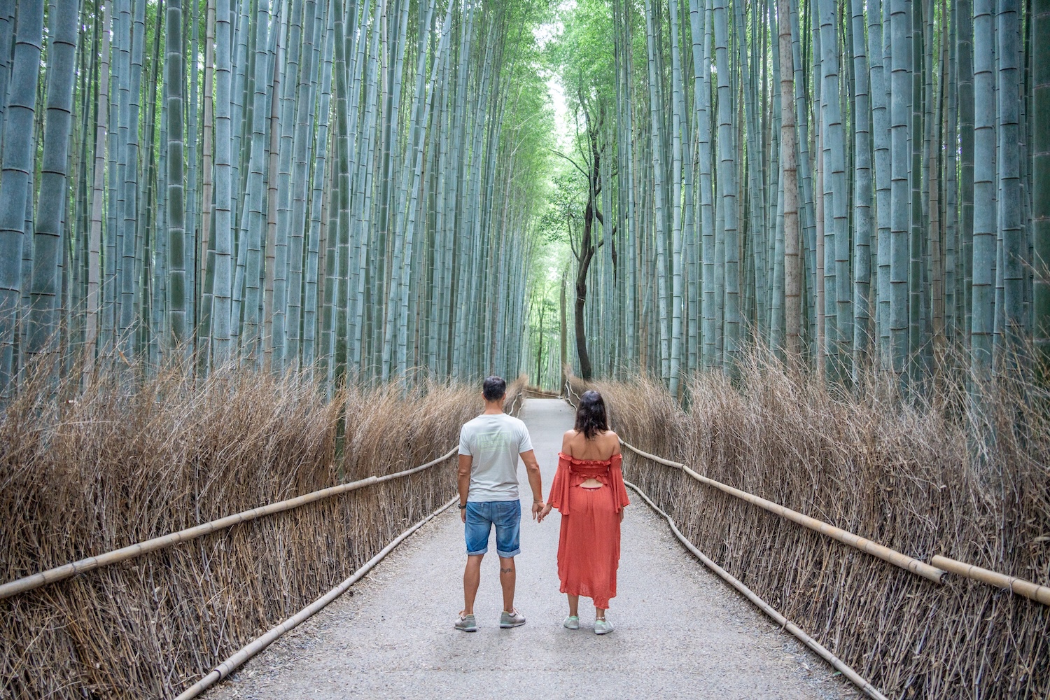 Kioto Que ver y hacer en Japón